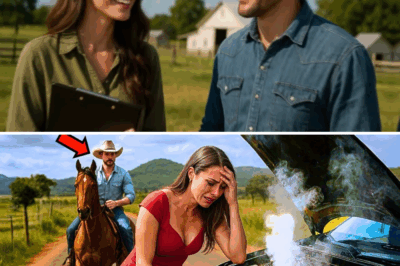 Do salto alto ao chão de terra: a virada inesperada que transformou o fracasso de uma executiva em um novo começo