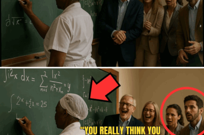 A Gênia da Cozinha: A Mulher Ignorada que Calou a Elite com Cinco Linhas de Matemática